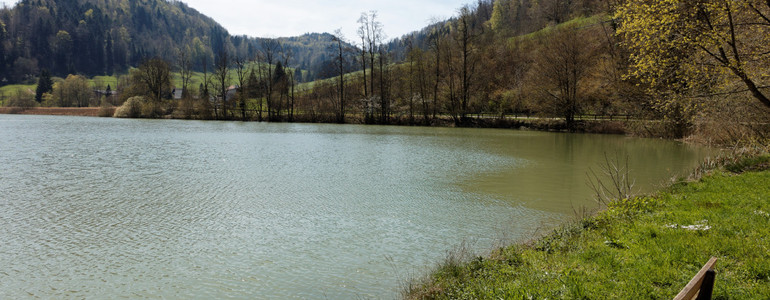 Banc au bord du Lac